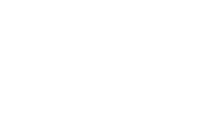 SocialVision